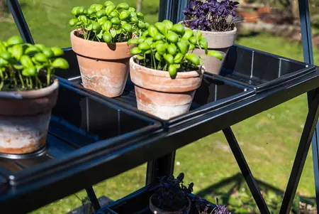 Seed Tray Frame - Black